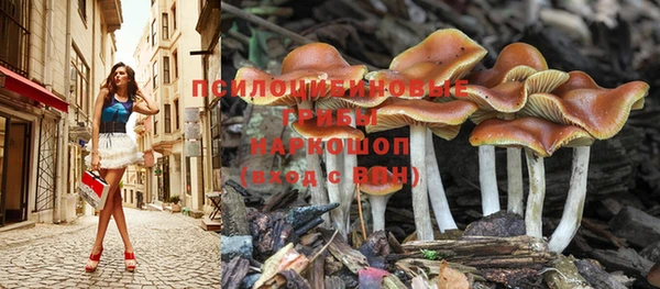 прущая мука Кодинск