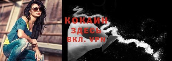 прущая мука Кодинск