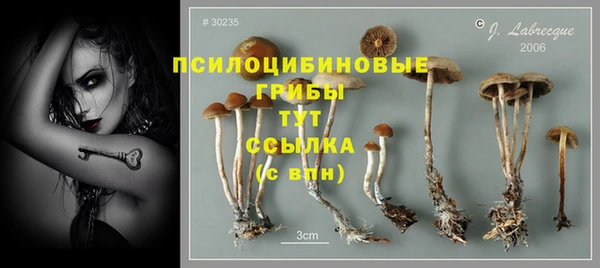 прущая мука Кодинск