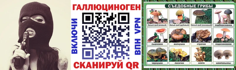 Купить  Порхов  Галлюциногенные грибы Cubensis 